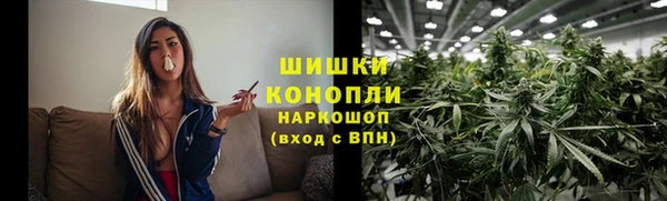 соль ск Кодинск