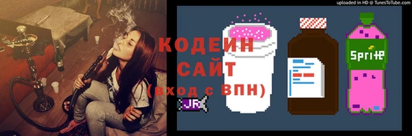 соль ск Кодинск