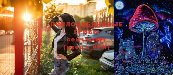 ешки Козловка