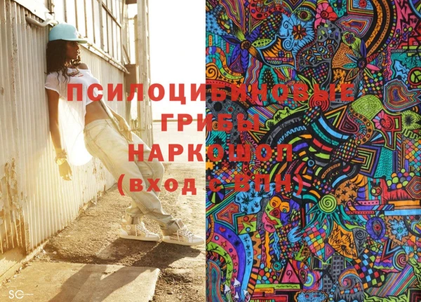 ешки Козловка