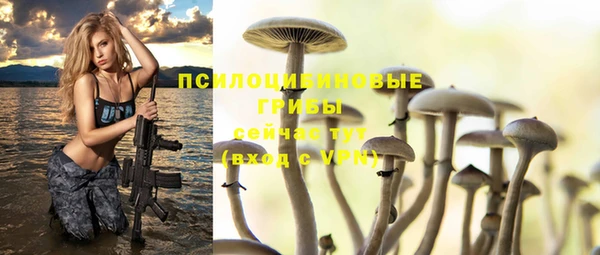 соль ск Кодинск